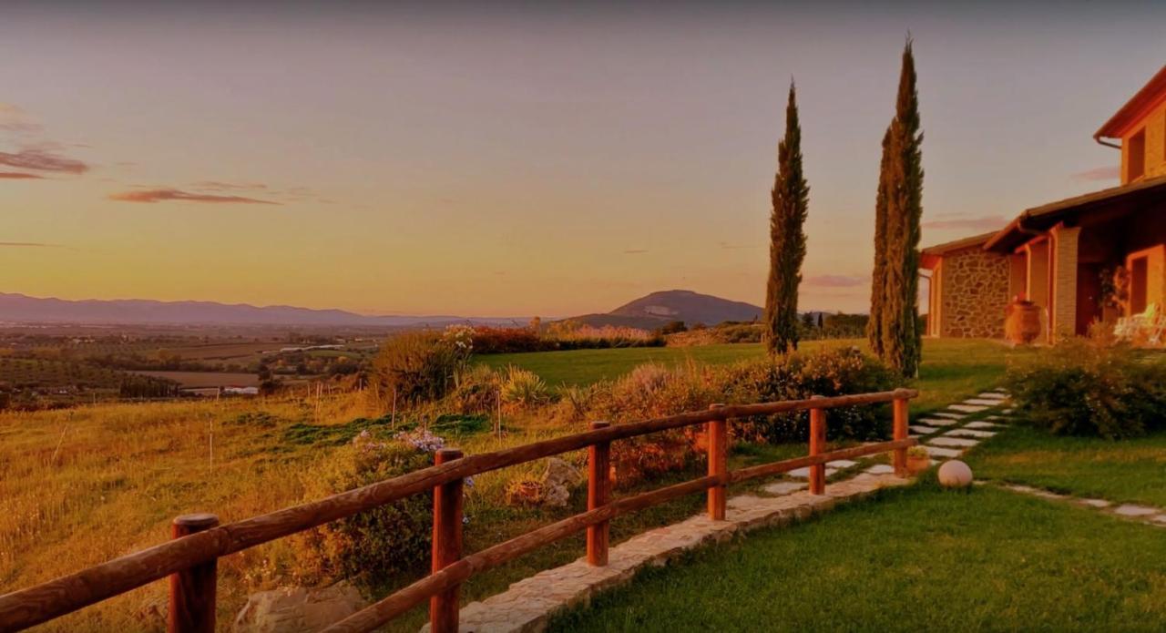 Agriturismo La Fonte 그레세토 외부 사진