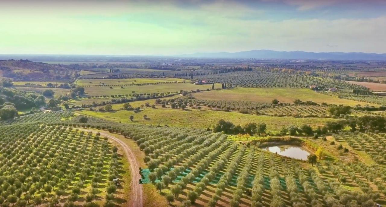 Agriturismo La Fonte 그레세토 외부 사진