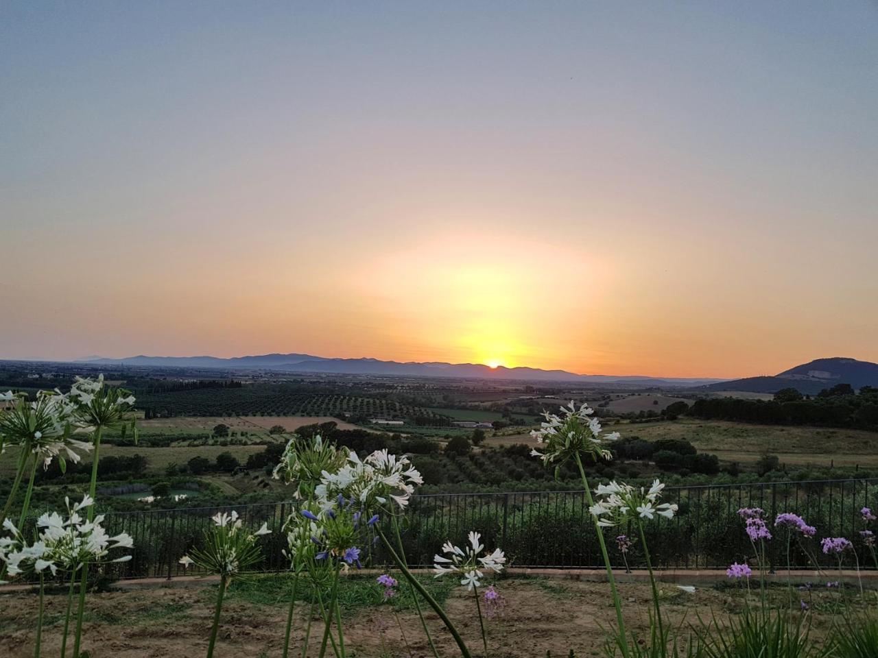 Agriturismo La Fonte 그레세토 외부 사진