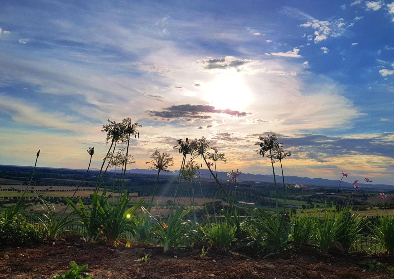 Agriturismo La Fonte 그레세토 외부 사진