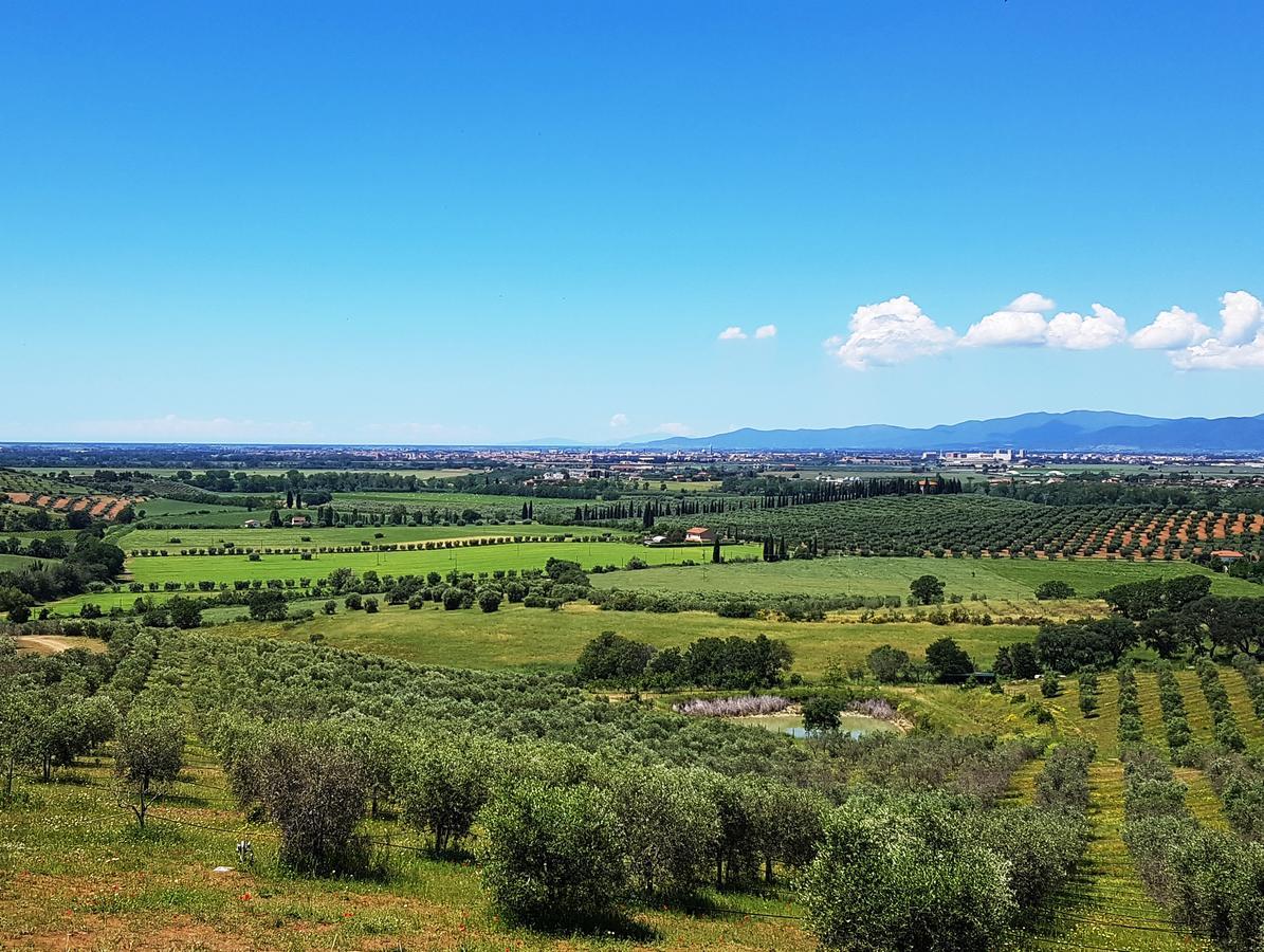 Agriturismo La Fonte 그레세토 외부 사진